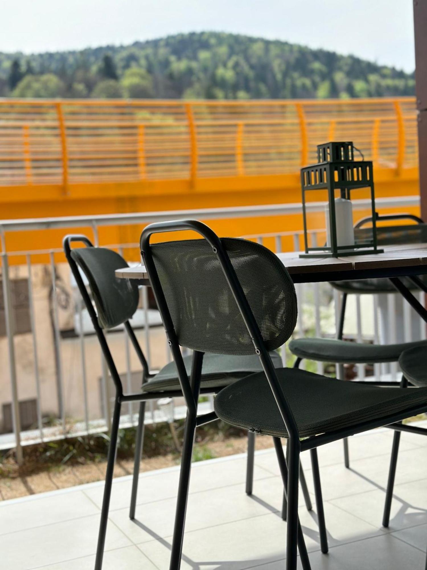 Dream Garden Apartment With Free Parking Sinaia Kültér fotó