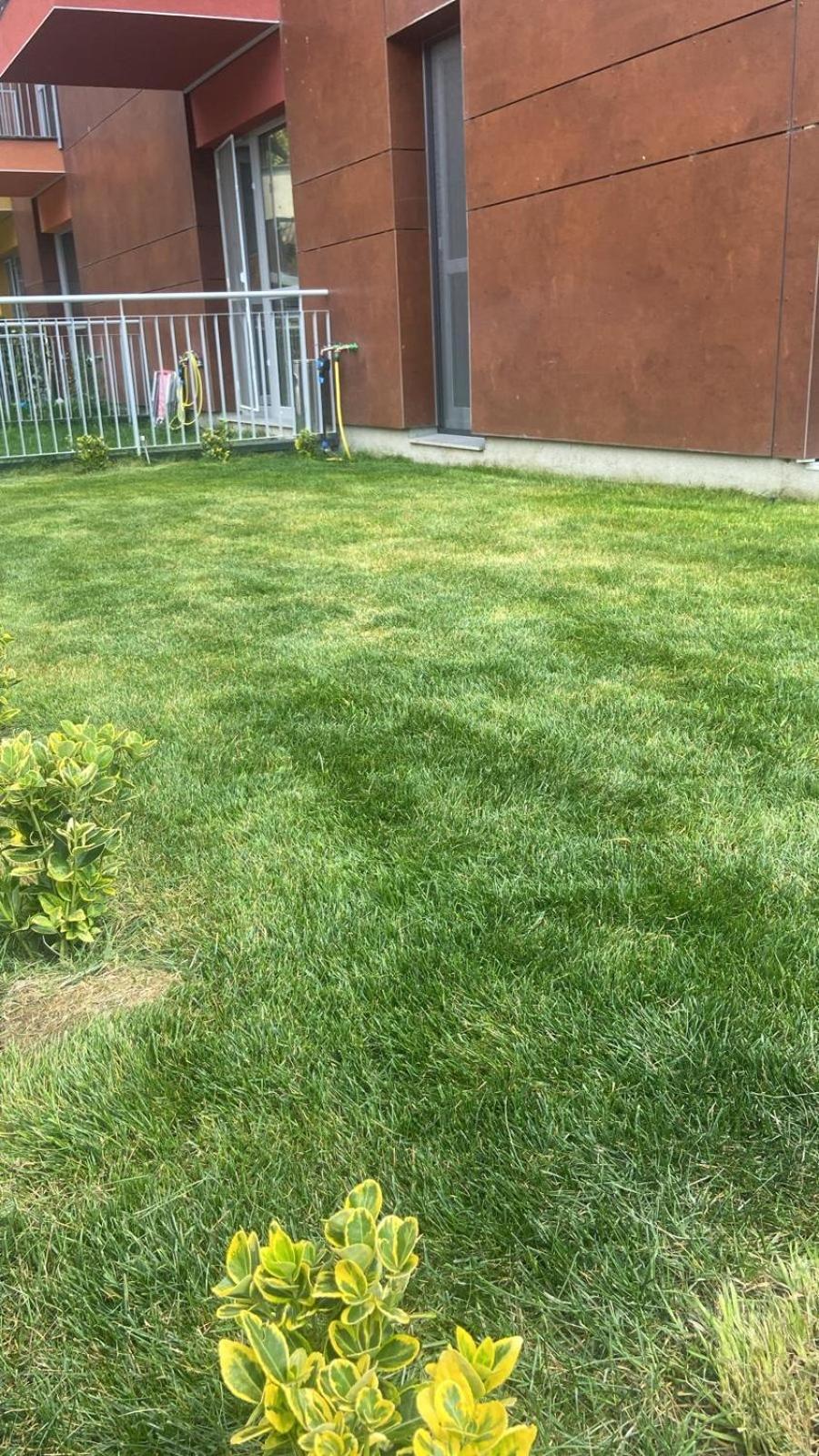 Dream Garden Apartment With Free Parking Sinaia Kültér fotó